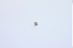 Foto von Diamant (NHMW-MIN-Aa2968)
